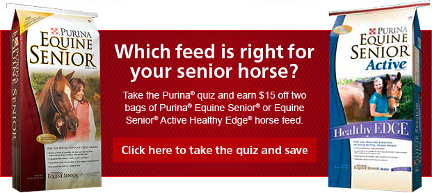 equine-senior-15-off-ad