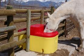 Automatic Waterers