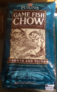 game fish chow