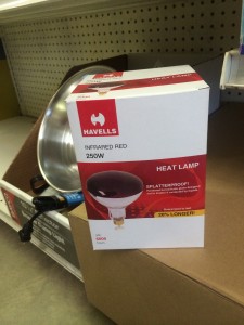 heat lamp and bulb
