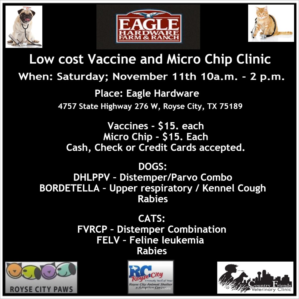 low cost vet clinic
