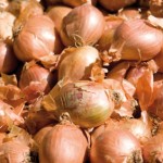 iStock_000011524290XSmall iStock_000011524290XSmall