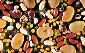 vegetable seeds vegetable seeds