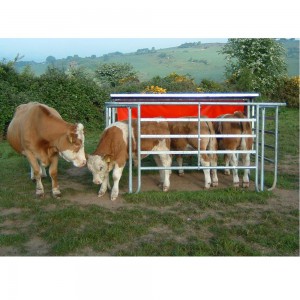 Calf-Creep-feeder-on-website