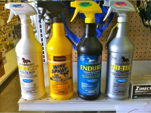 Eagle & Forney Visit Photos 6_13_12-1