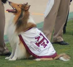 reveille
