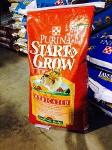 start and grow medicated