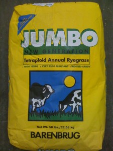 pasture rye seed over seeding