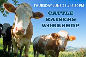 cattle-workshop-2015-post-img
