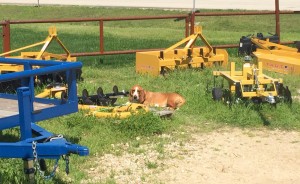 sally and implements.resized tractor implements