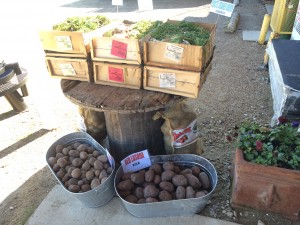 seed potatoes onion sets