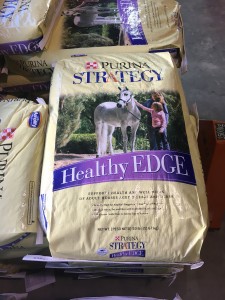 strategy healthy edge