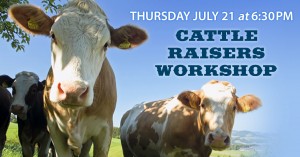 cattle workshop cow workshop