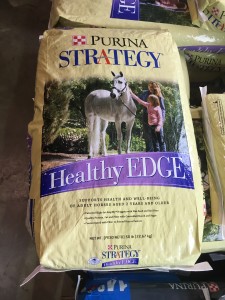 healthy edge - fiotw