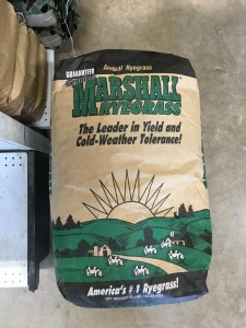 ryegrass seed
