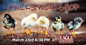 chick workshop