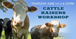 cattle-workshop-2018-post